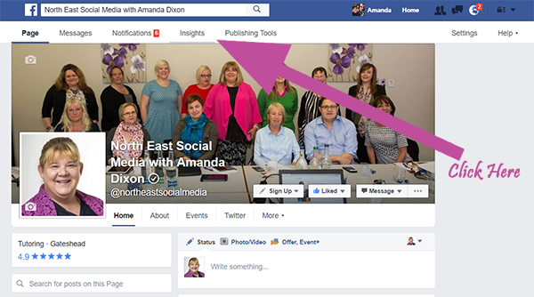Facebook Insights, Social Media Training Newcastle, Social Media Workshops Newcastle